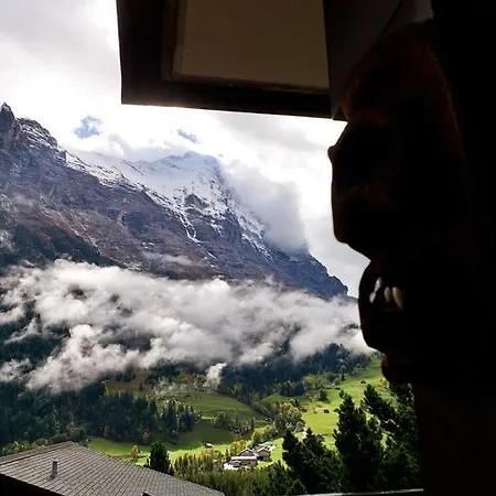 Daire Chalet Alpstein