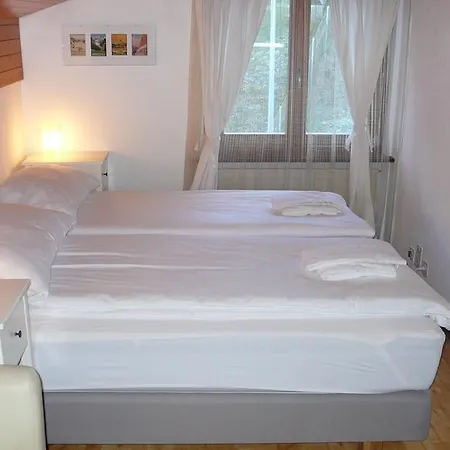 Chalet Alpstein